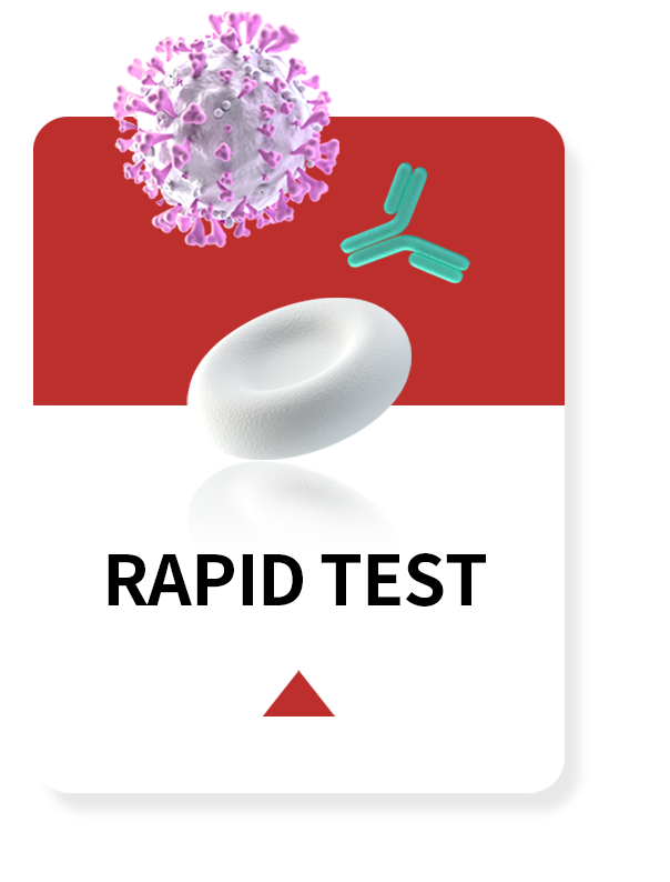 RAPID TEST